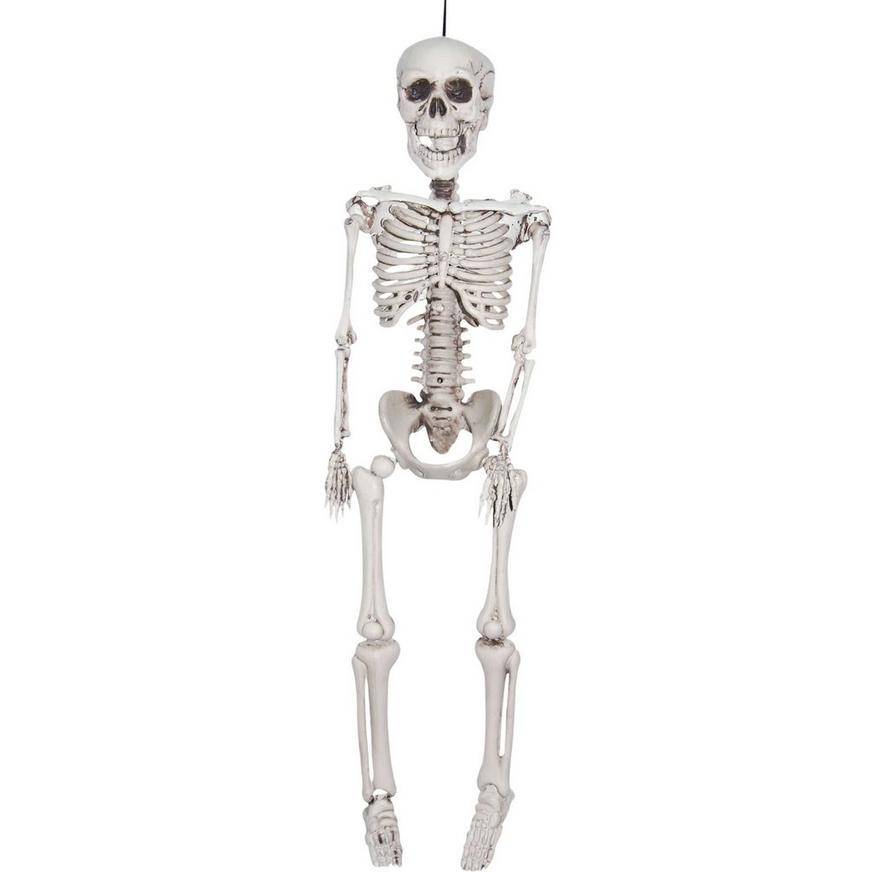 Realistic Hanging Skeleton