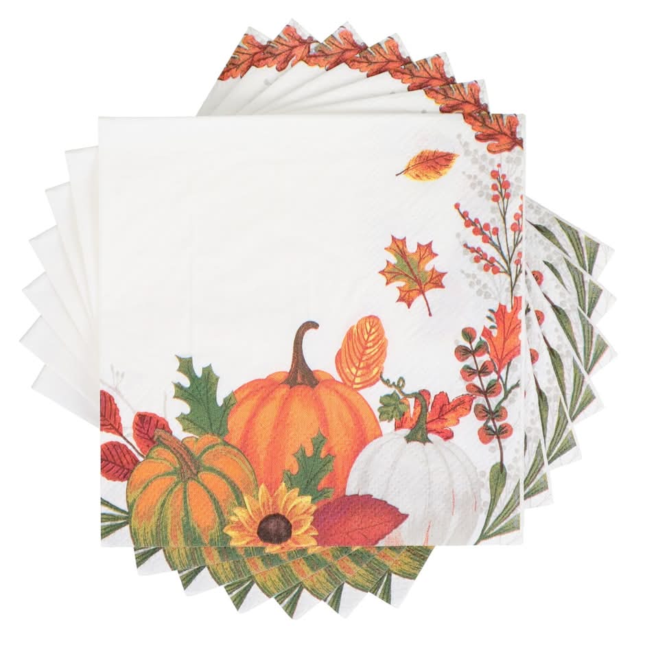 Seasonal Collection 2-Ply Pumpkin Cocktail Napkins (24 ct)
