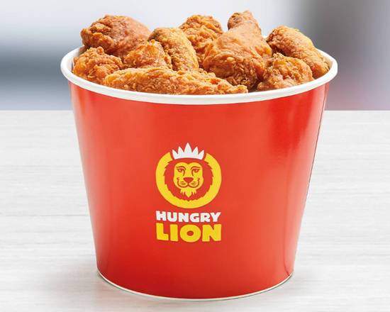 15 Piece Bucket