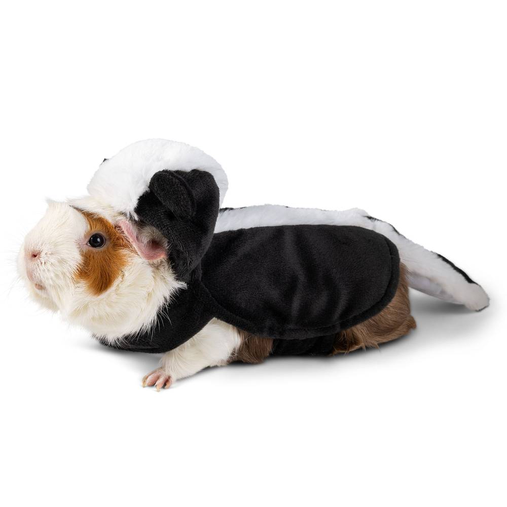 Thrills & Chills Skunk Small Pet Costume