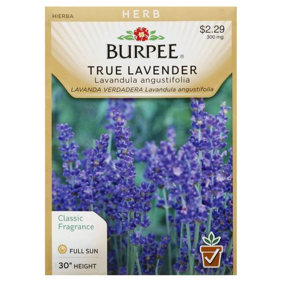 Burpee Lavender English (300 mg)