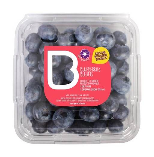 BerryWorld Blueberries