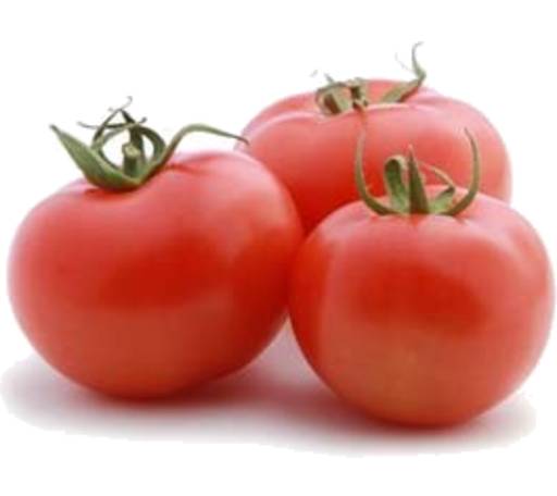 Field Tomatoes Box 10kg