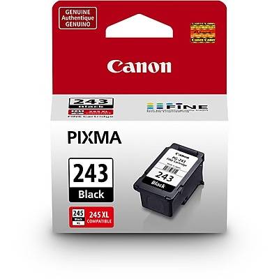 Canon Standard Yield Ink Cartridge, 243 Black