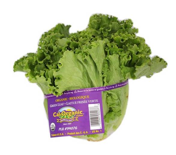 Cal. Organic Organic Green Leaf Lettuce