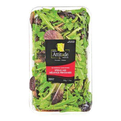 Fresh Attitude · Mélange de salade printanier (312 g) - Spring salad mix (312 g)
