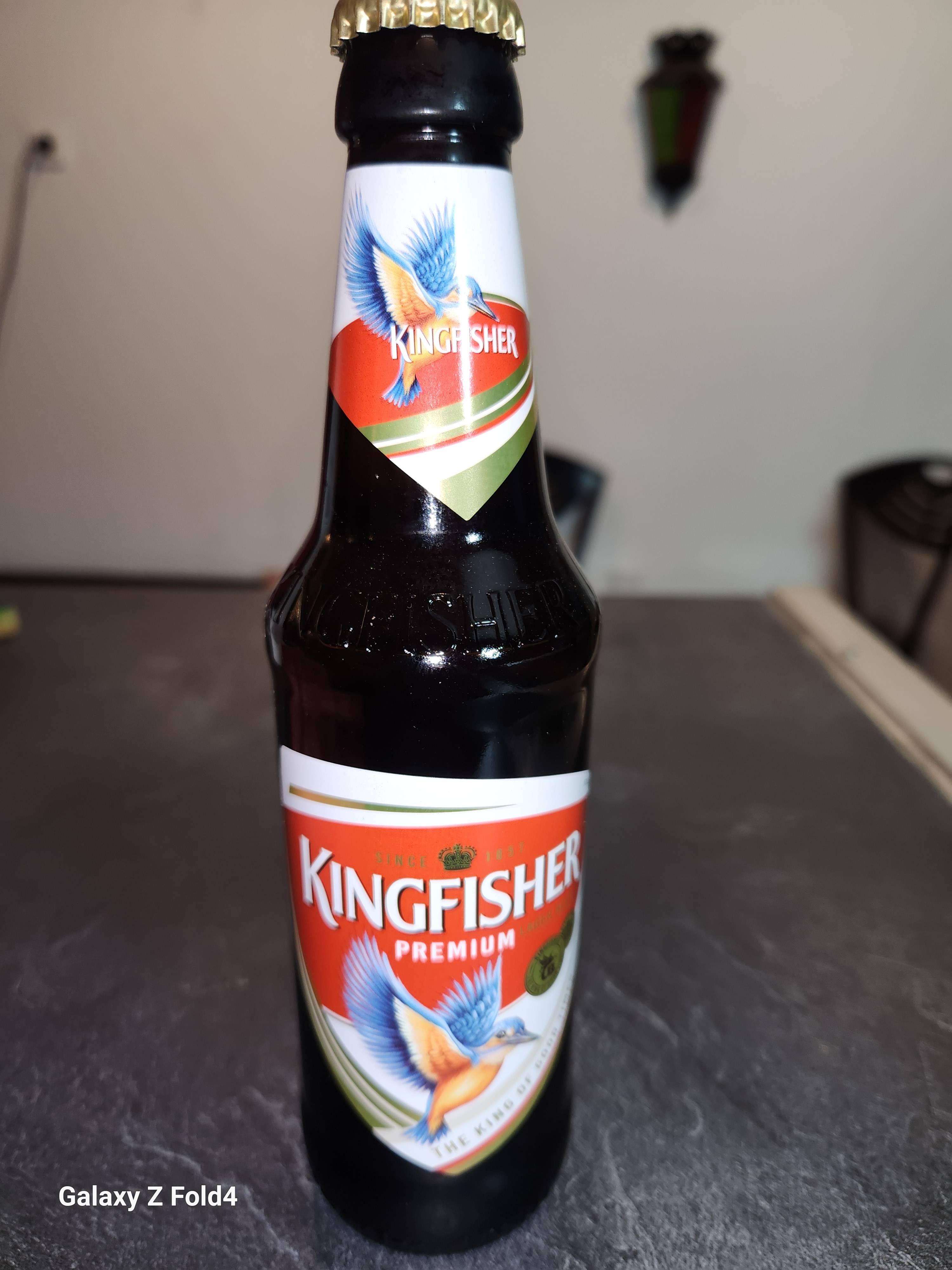🍺 King Fisher 33 CL