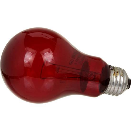 Zoo Med Nightlight Red Reptile Bulb, 100 Watts ( 100 watts)