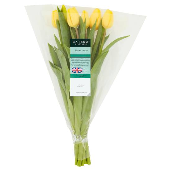 Waitrose & Partners Bright Tulips