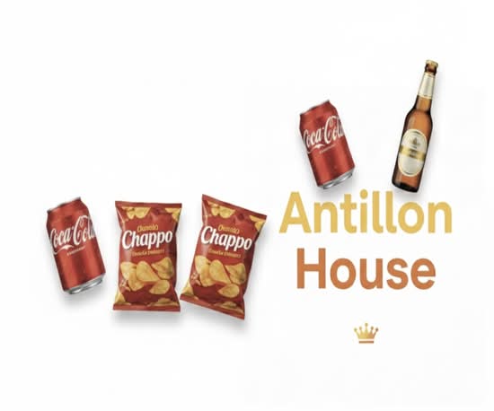 Antillon House