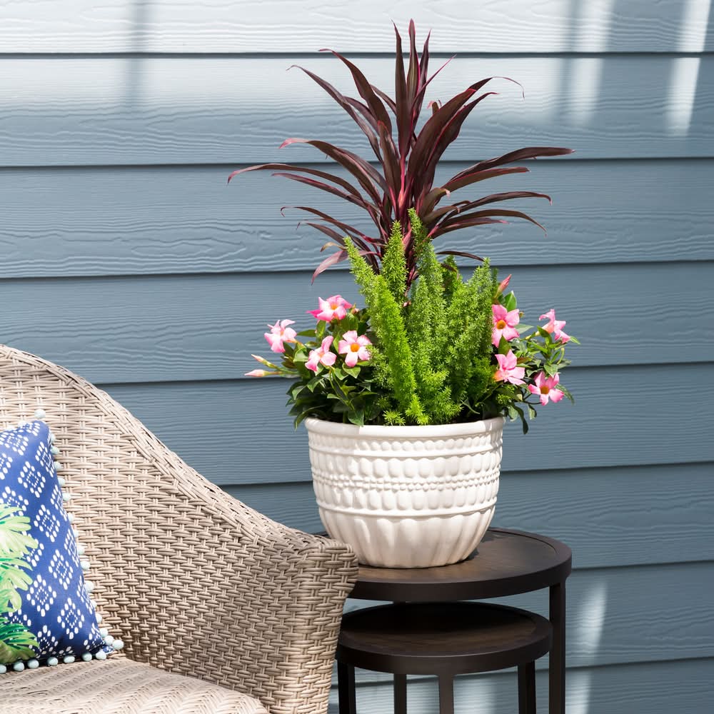 Lowe's - Lowe's Mixed Annuals Combinations Feature Shrub Pot - Delivery in  Under an Hour | Uber Eats