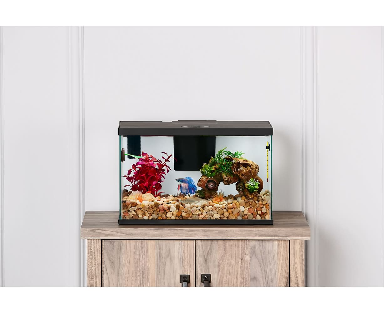 Top Fin® All-In-One Betta Aquarium Starter Kit - 3 Gallon (Size: 3 Gal)