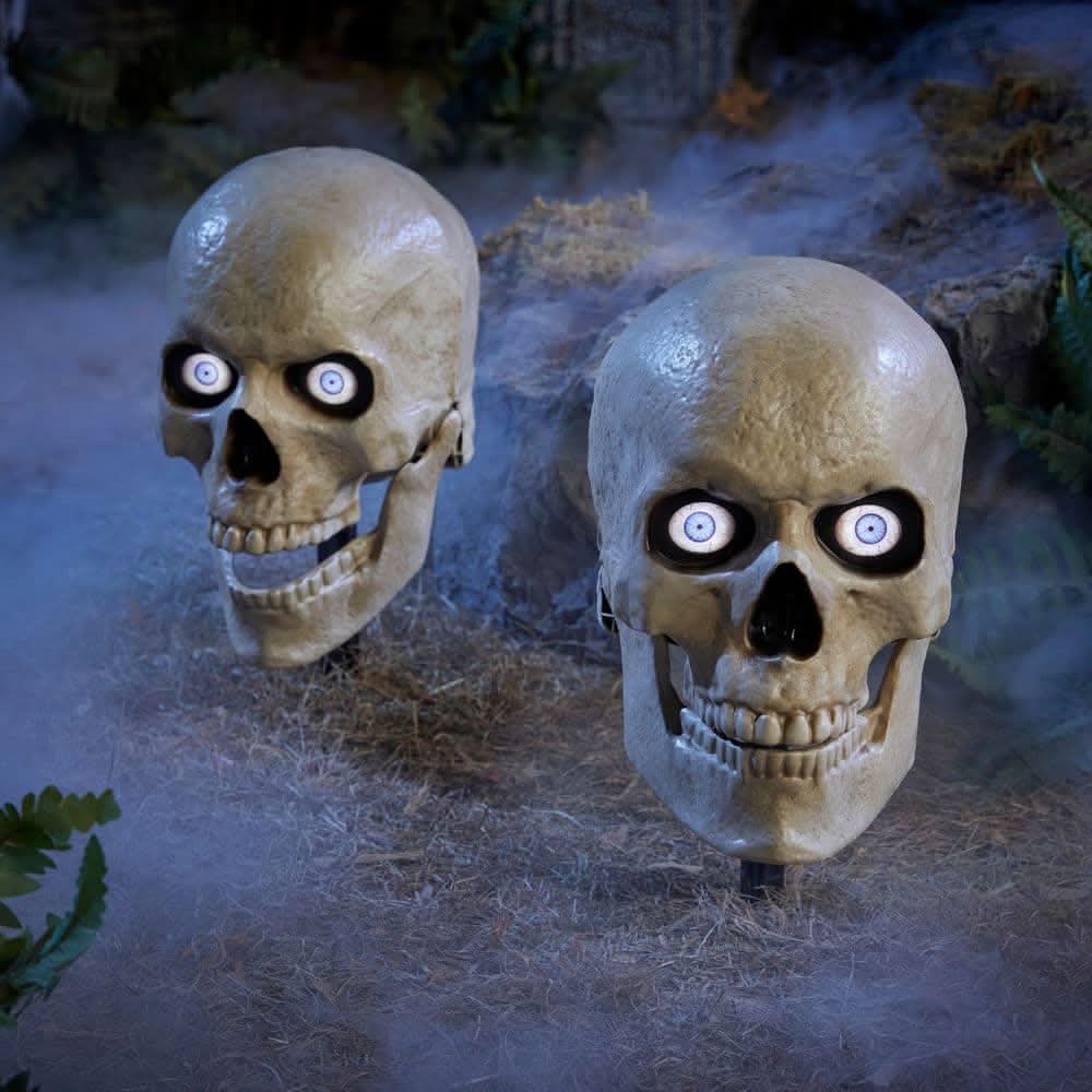 Home Accents Holiday Led Grave & Bones Skelly Skull