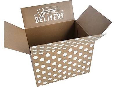 Happy Mail Shipping Box, Polka-Dot, 8 x 6 x 6 (246460)