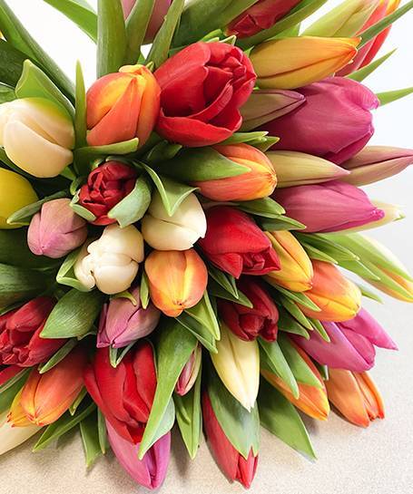 Botte de 10 tulipes multicolorés