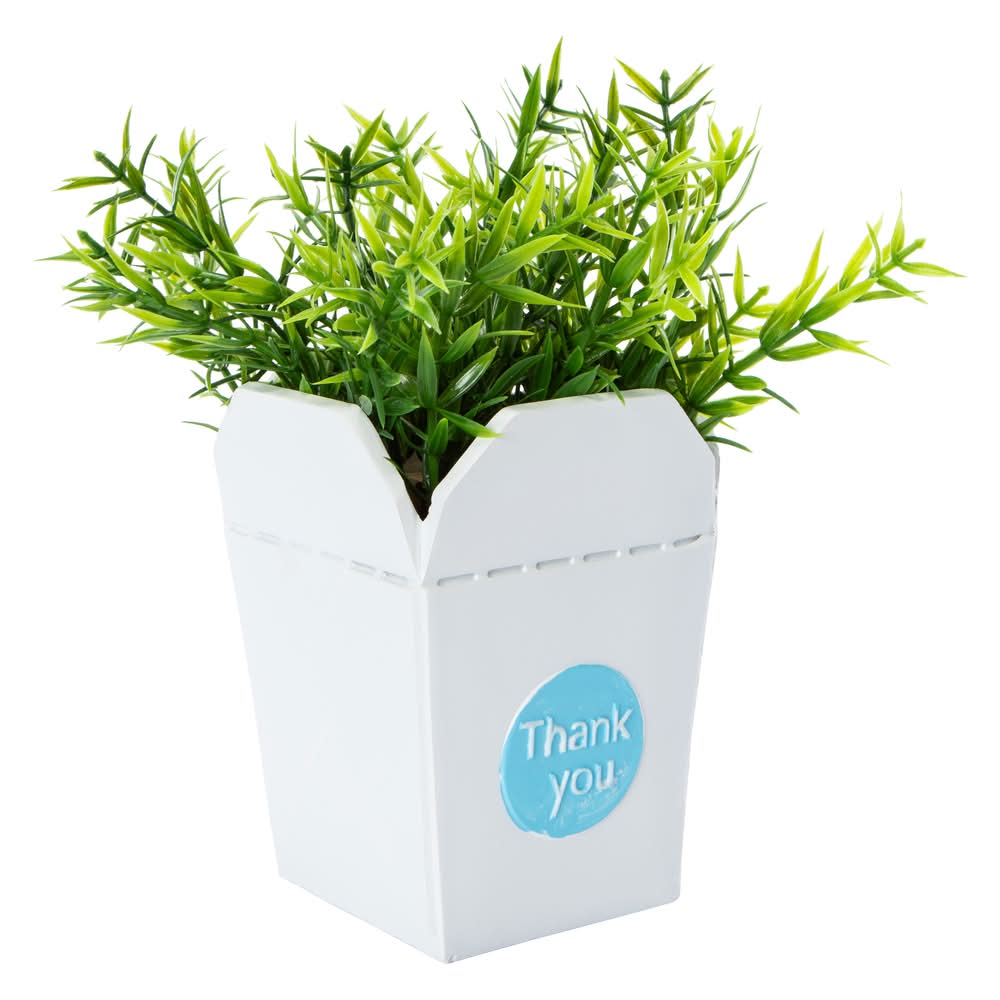 Chinese Takeout Box Faux Plant Rosemary