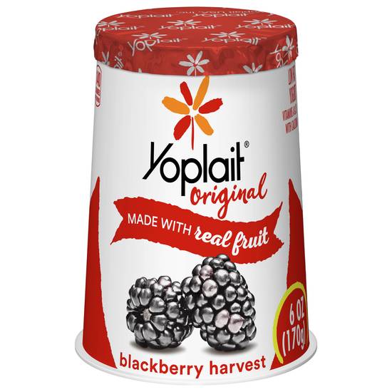 Yoplait Blackberry Harvest Lowfat Yogurt (6 oz)