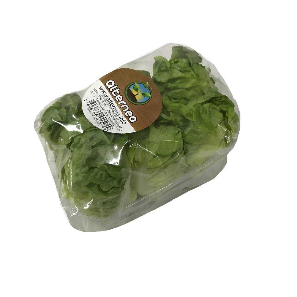 Alternea - Salade cœur de laitue sucrine (6 pièces)