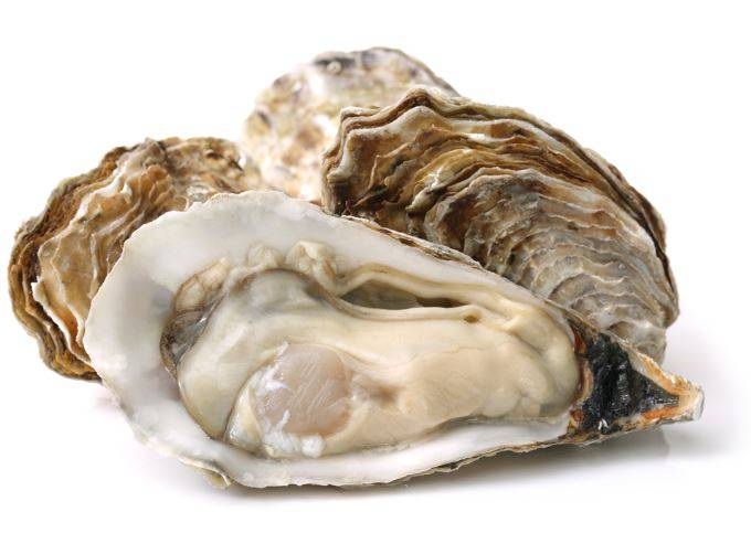 Chesapeake Oysters, 50 ct, wild caught, USA (Case of 1)