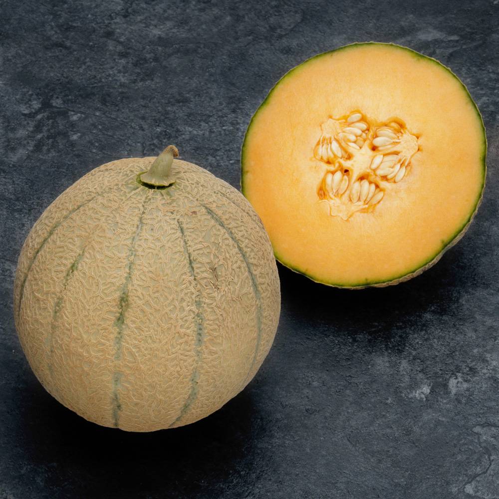 Melon Charentais vert, calibre 750/975g, Maroc, la pi?ce