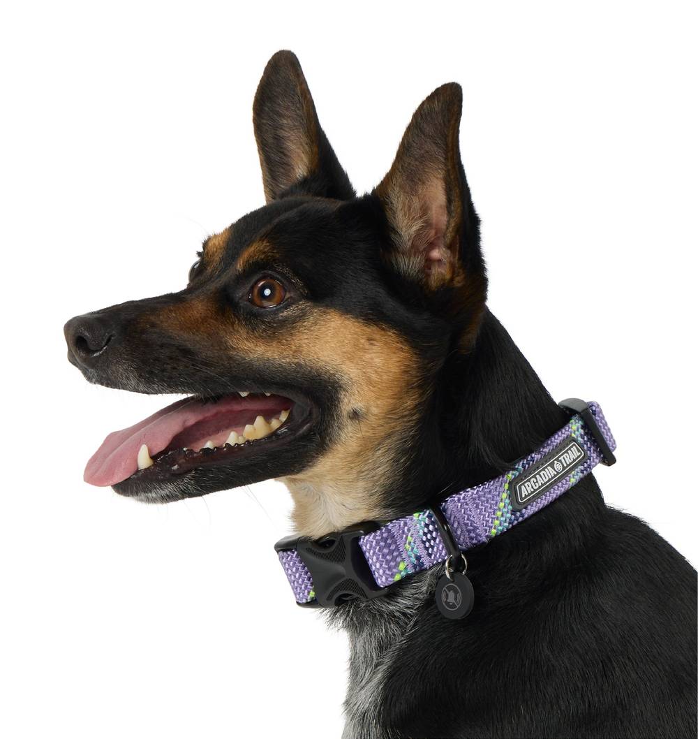 Arcadia Trail® Paracord Rope Dog Collar (Color: Purple, Size: X Large)