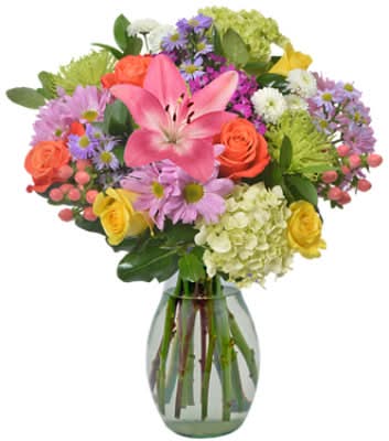Designers Choice Mixed Arrangement 39.99 - Each