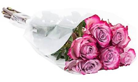 Fantasy Farms Roses - 6.0 ea