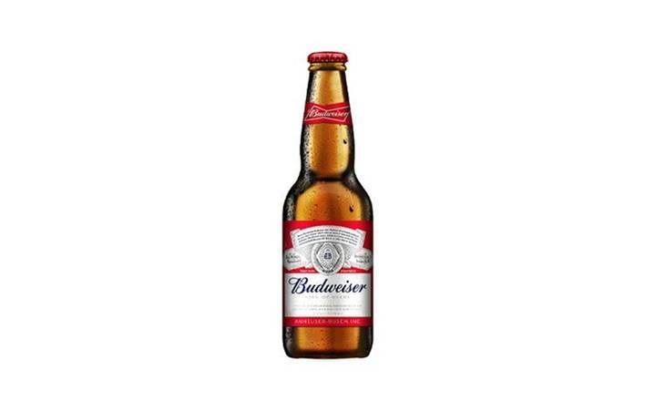 Bottle Budweiser