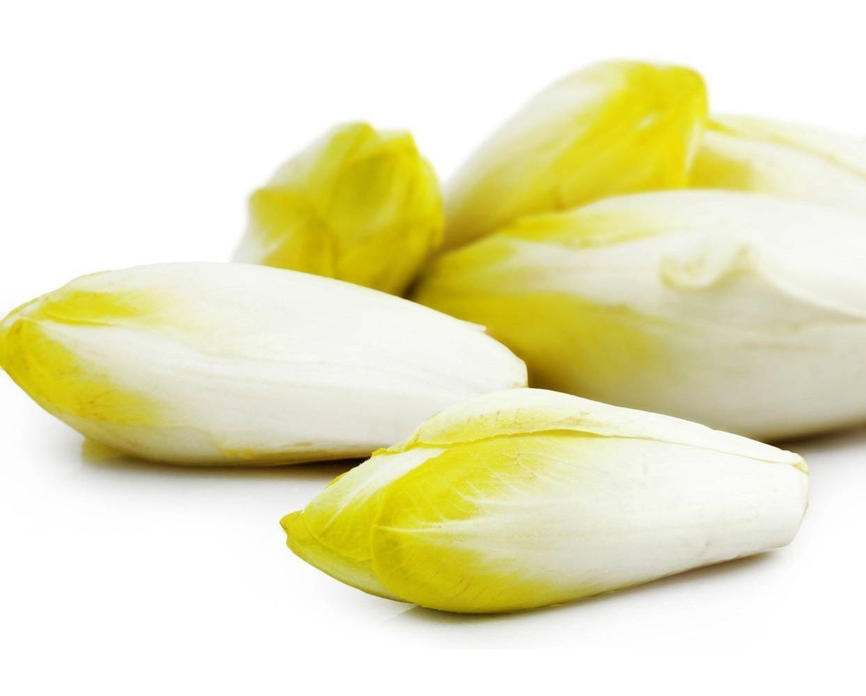 Endives jeunes pousses (300g)