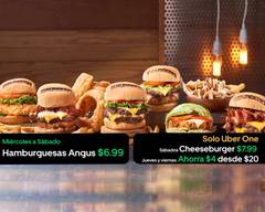 Burgerfi (Arecibo)