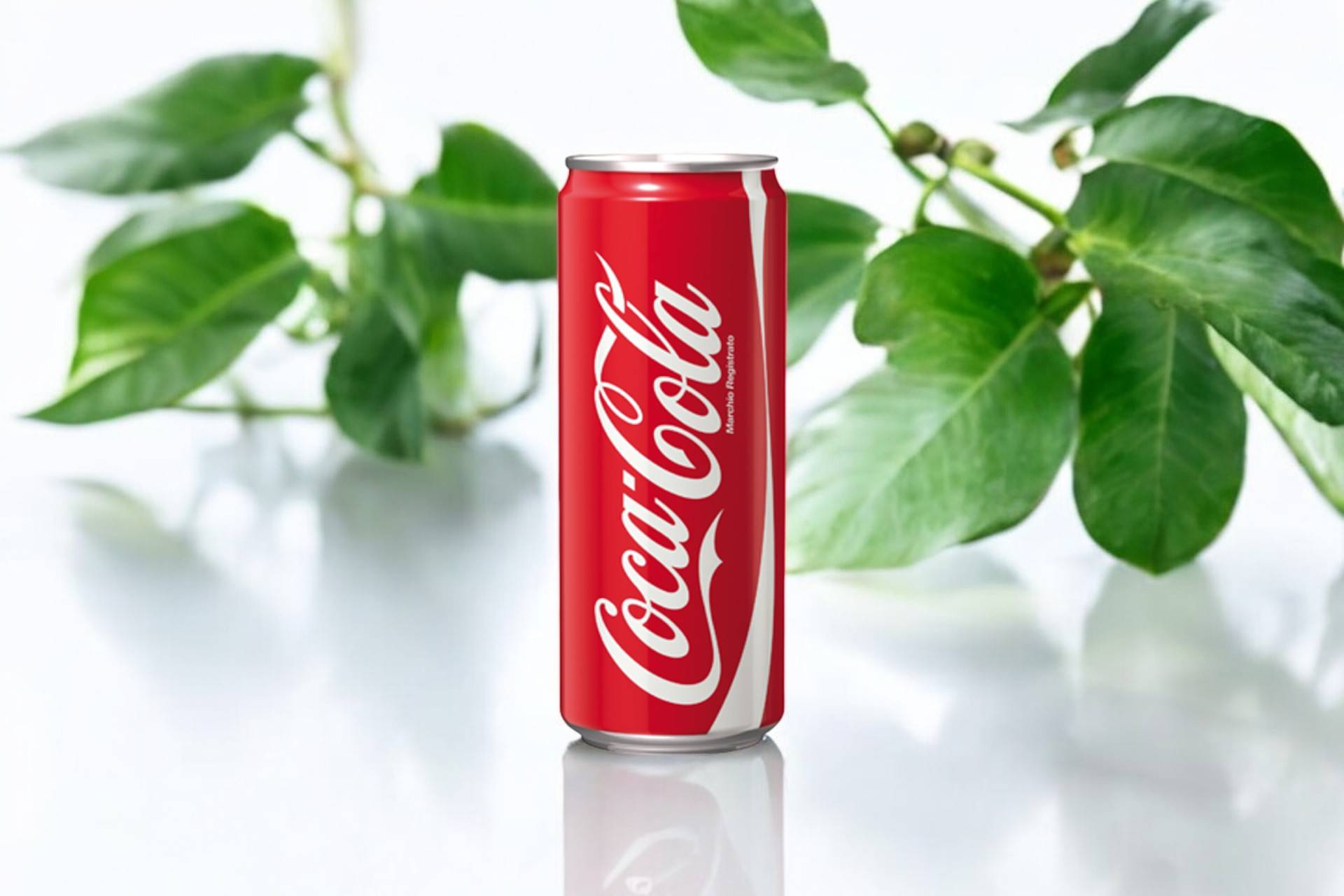 🥤Coca-Cola
