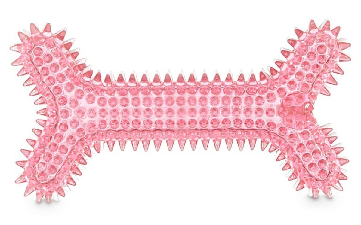 Leaps & Bounds · Juguete masticable hueso con picos y sonido para perro