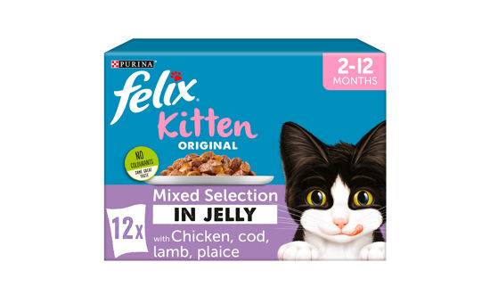 FELIX Kitten Mixed Selection in Jelly Wet Cat Food 12 x 100g