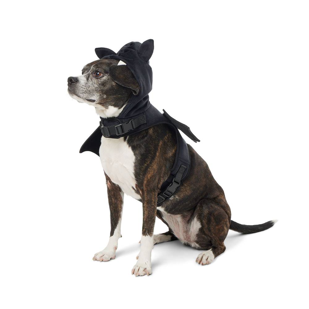 Thrills & Chills Dog Costume Harness- Bat (Color: Black, Size: Small)