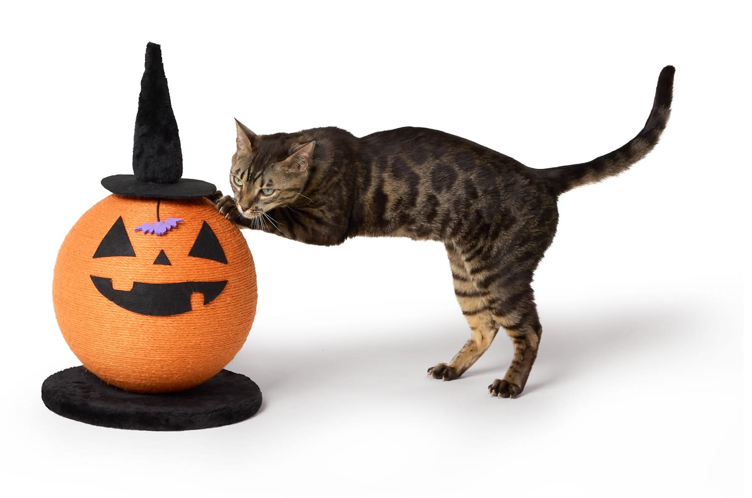 Thrills & Chills® Halloween Pumpkin Witch Cat Scratching Post 11.8 IN L X 11.8 IN W (Color: Multi Color)