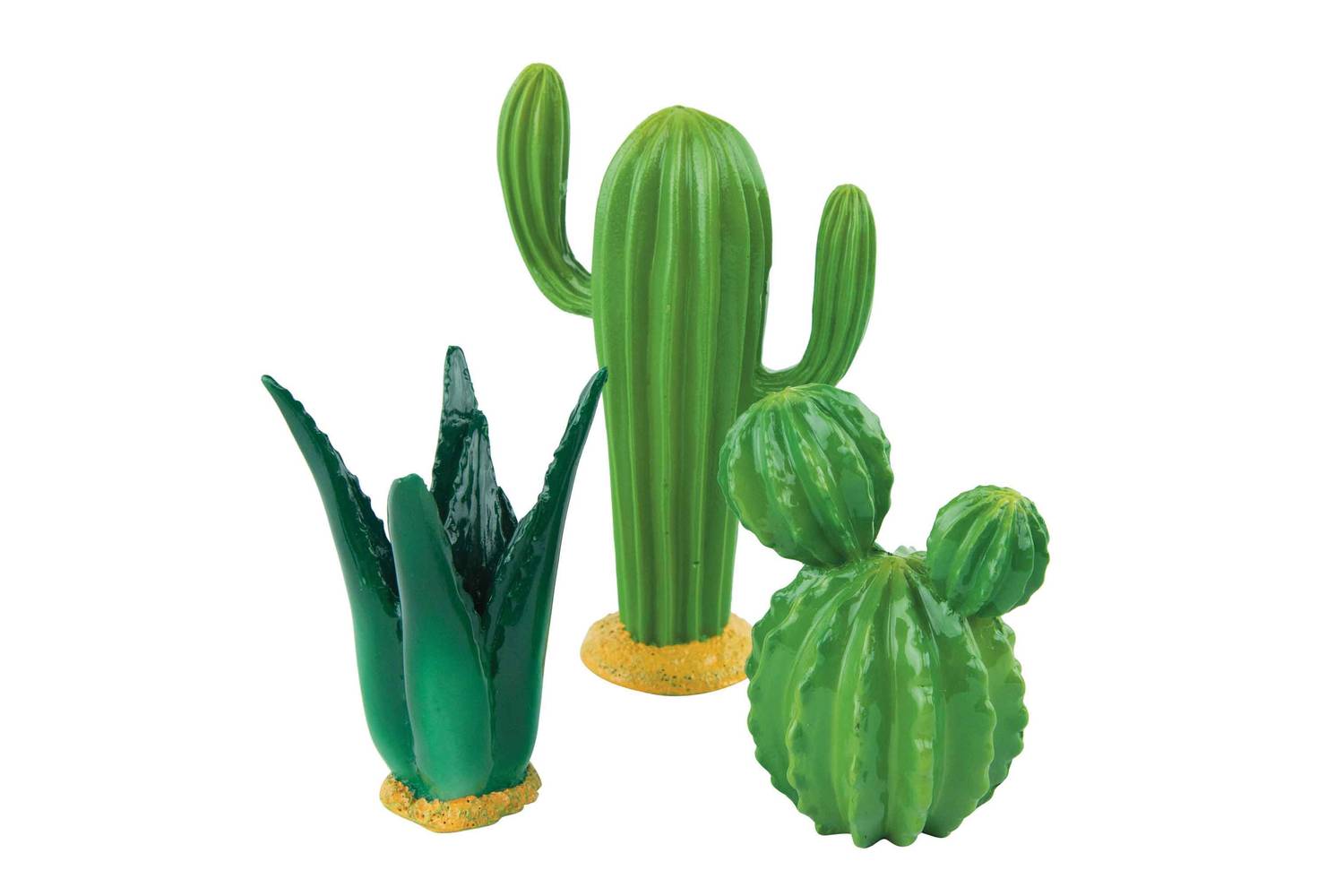 Fins First Cactus Decor 3 Piece Set