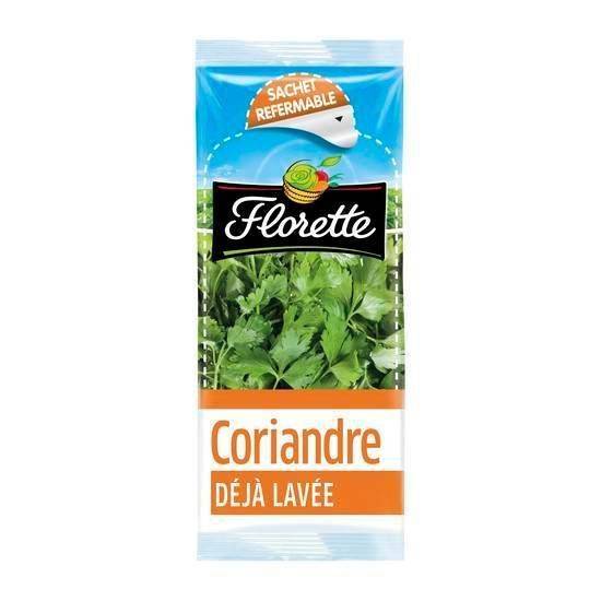 Coriandre - florette - 11g