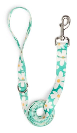 YOULY Daisy Dog Leash, Daisy, 6-ft long, 1-in wide