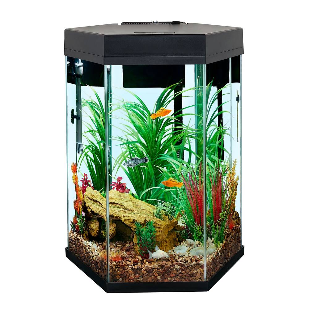 Top Fin® Captivate Starter Kit (Size: 20 Gal)