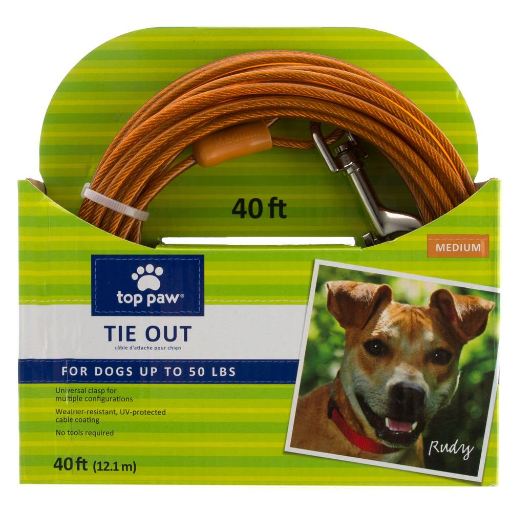 Top Paw® Dog Tie Out (Color: Orange, Size: 40 Ft)