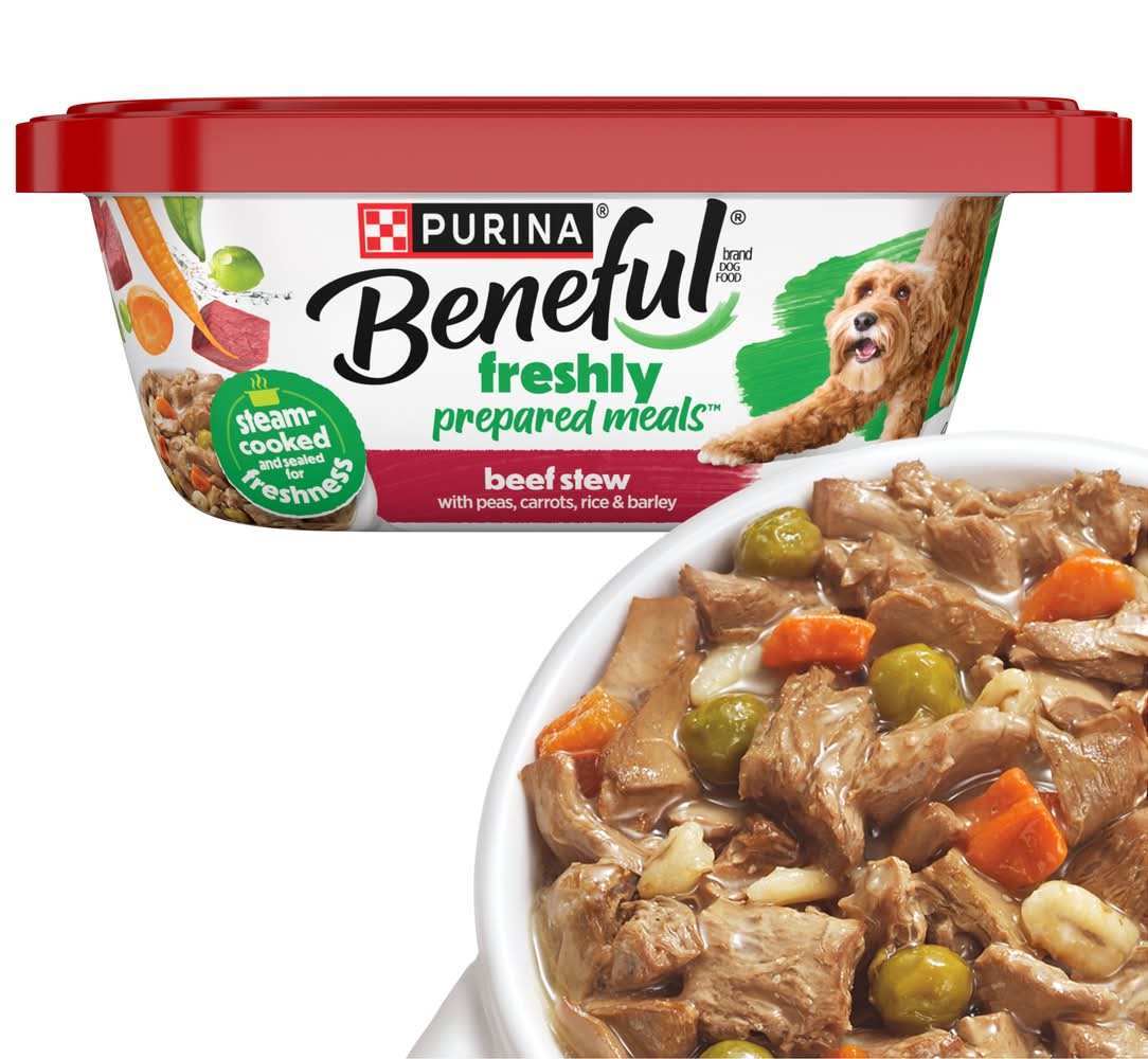 Purina Beneful Freshly Prepared Meals Wet Dog Food, Beef Stew (10 oz)