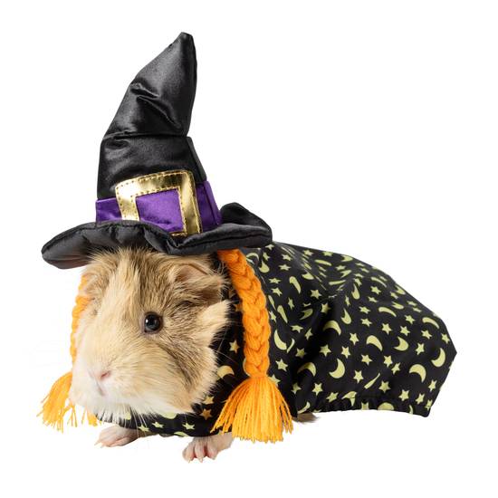 PetSmart's Christmas Costumes Will Make Your Guinea Pig the Most