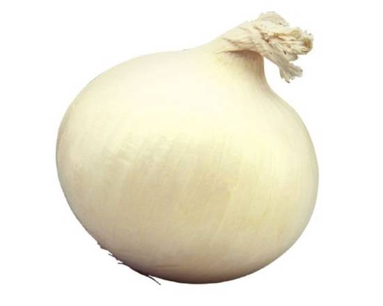 Oignon blanc jumbo - Jumbo white onions