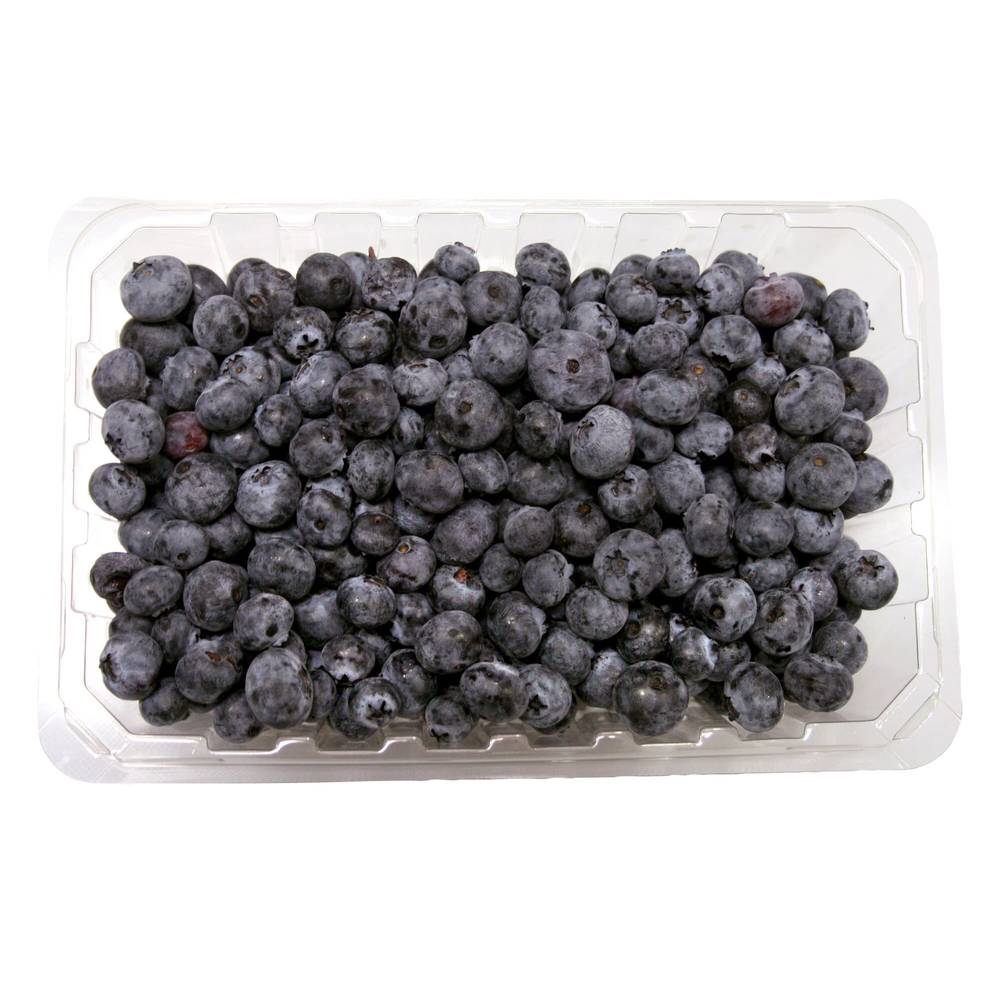 Blueberries, 510 G