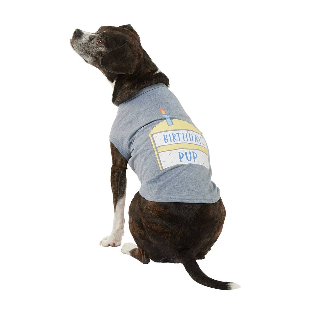 Top Paw Birthday Pup Dog Tee (x large/grey)