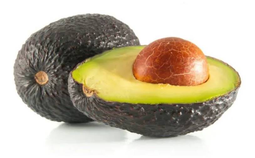 Avocat - la piece