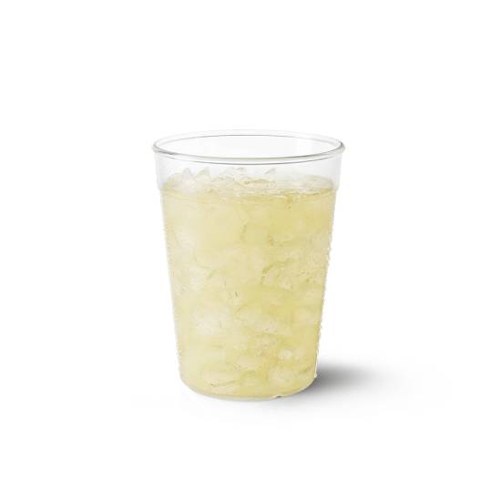 Citrus Lemonade Medium (statiegeld)