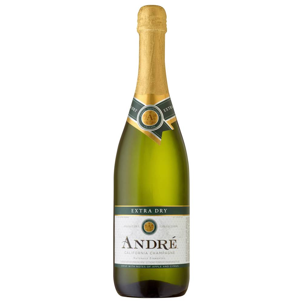 Andre Extra Dry Champagne Wine (750 ml)