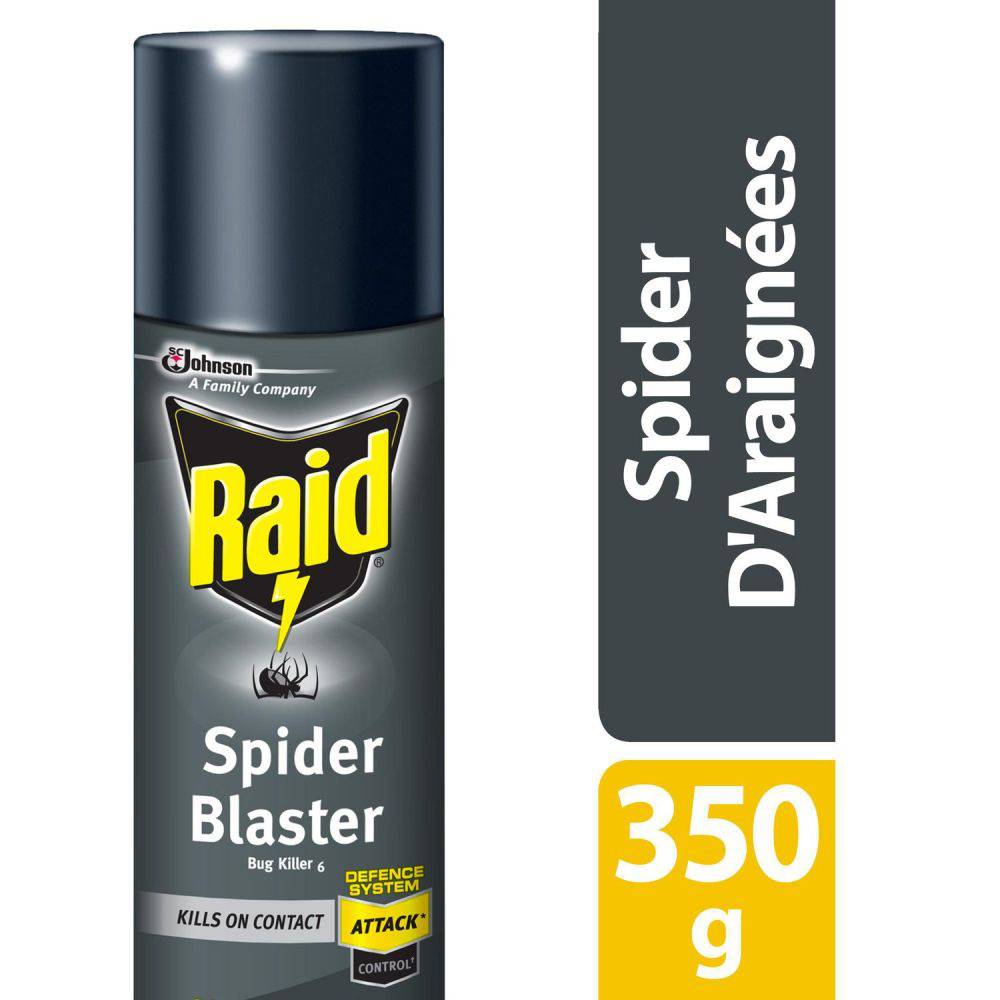 Raid Spider Blaster Insect Killer Spray (350 g)