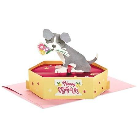 Hallmark 3d Pop-Up Mother's Day Card (dog with flowers) S30